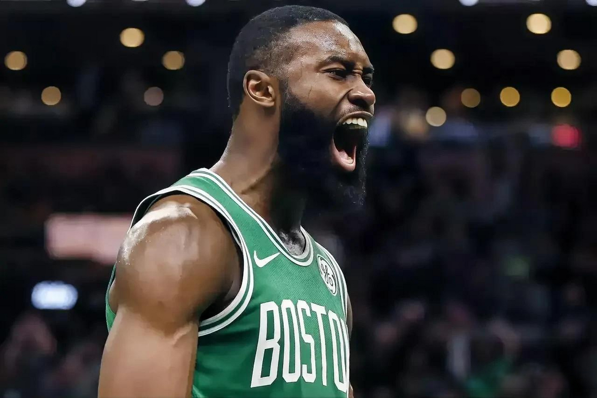 满十年的老 满十年的老